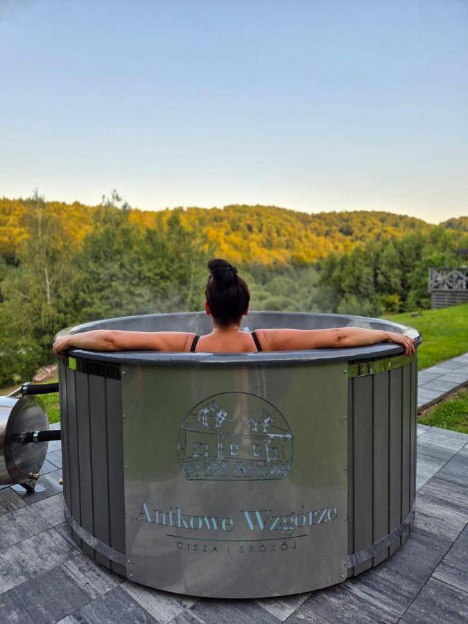 Cały apartament, Antkowe Wzgórze in Karpaty (Polska)