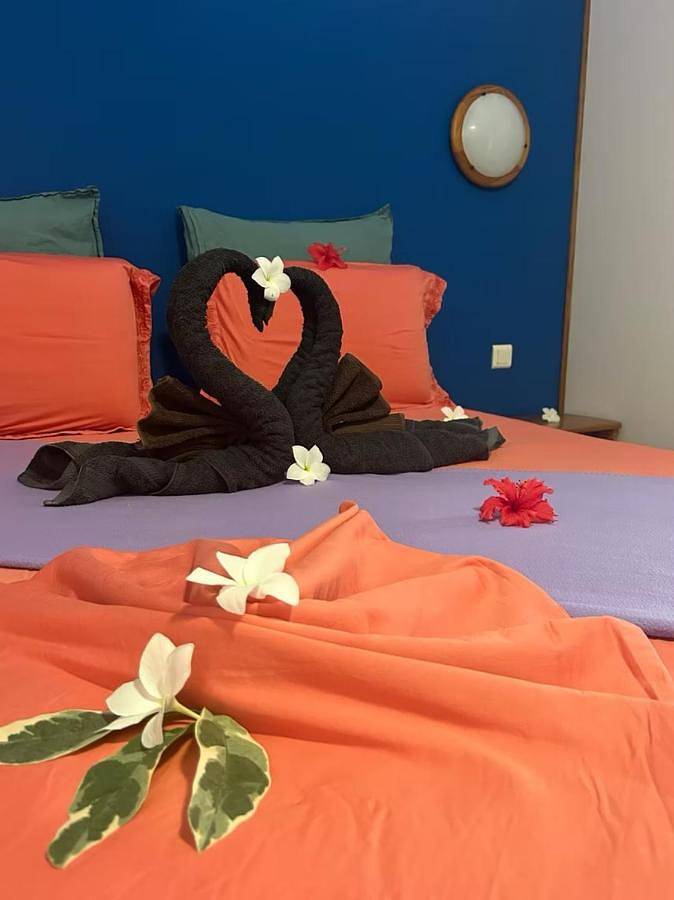 Chambre d’hôte pour 2 personnes, avec jardin dans Rangiroa - 4