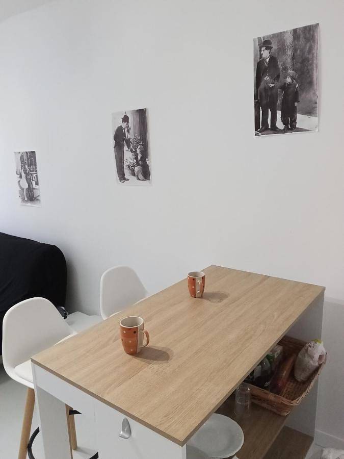 Gîte pour 2 personnes, avec terrasse, animaux acceptés à Graulhet - 4