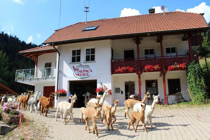 Ferienwohnung für 4 Personen, mit Balkon und Terrasse sowie Garten und Ausblick