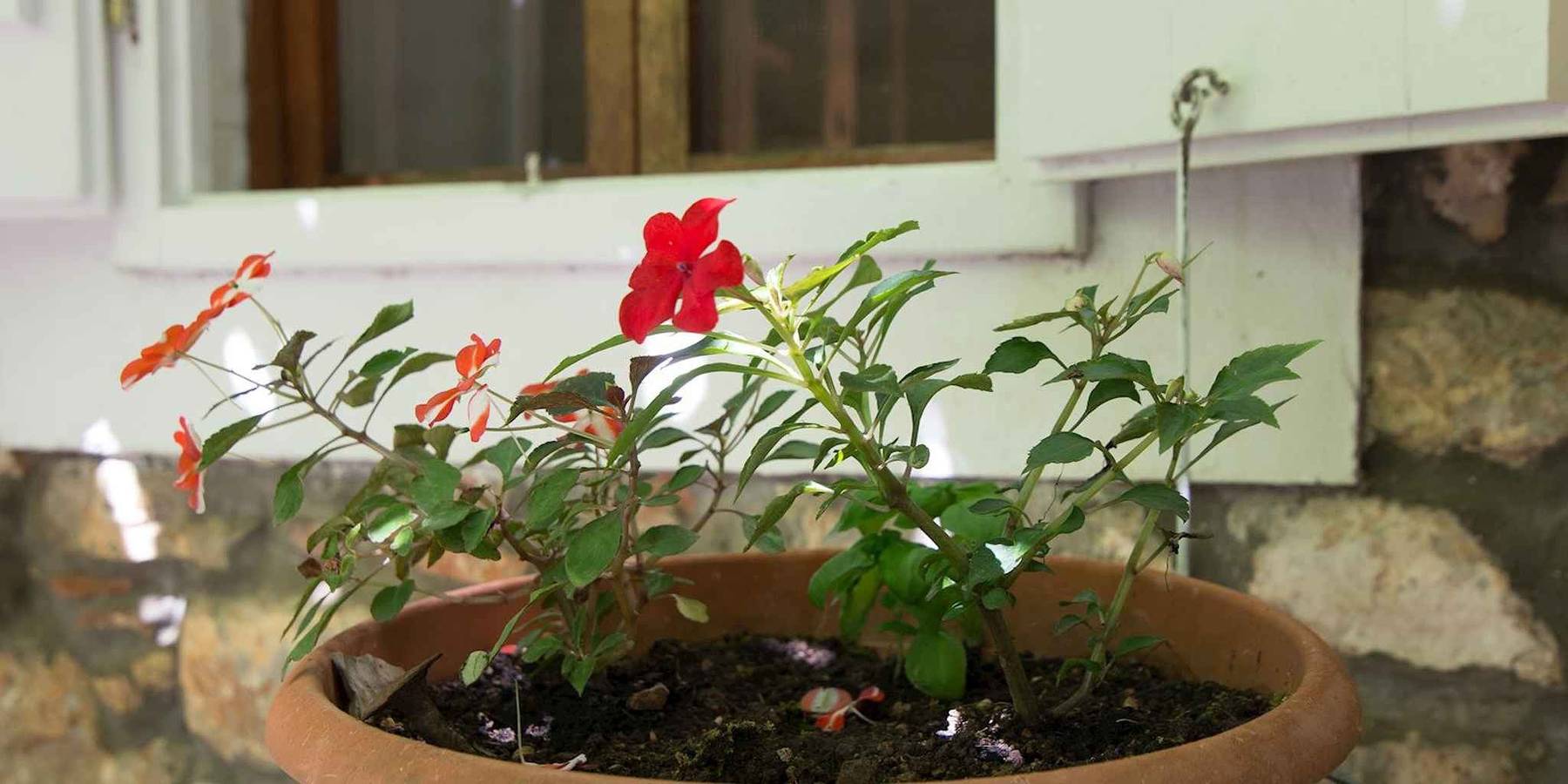 Ganzes Studio, Studio mit Tv und Terrasse in Veli Losinj, Kvarner Inseln