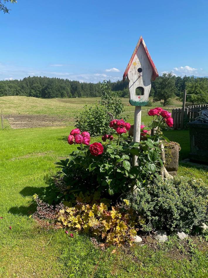 Bauernhaus für 6 Personen, mit Balkon, kinderfreundlich am Chiemsee - 3