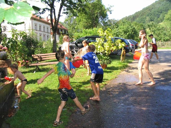 Ramsteinerhof - Gänseblümchen in Hausach, Kinzigtal