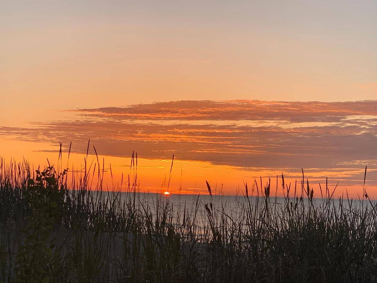Pelikan Resort - Domki przy plaży in Dźwirzyno, Baltic Sea Pomerania