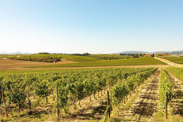 Casa vacanza per 4 persone a Montepulciano