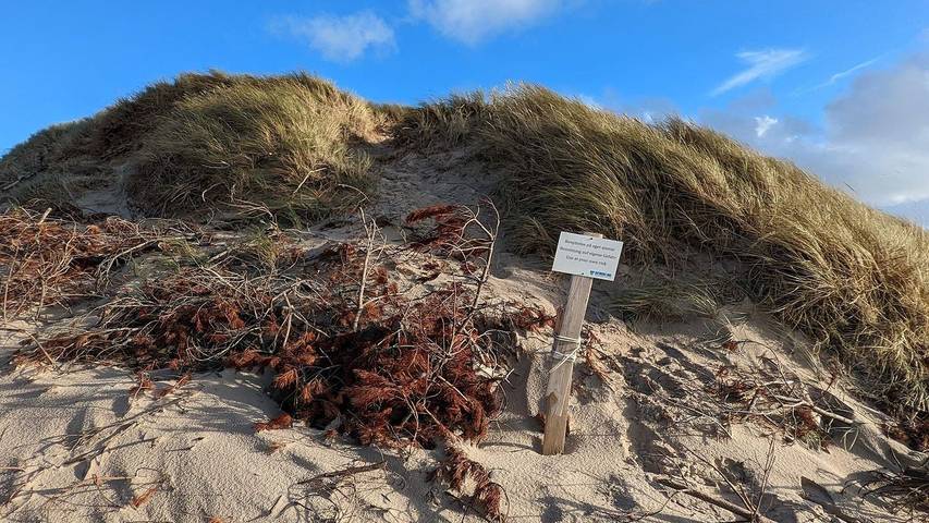 Ferienhaus für 7 Personen, mit Garten, mit Haustier in Vedersø Klit - 4