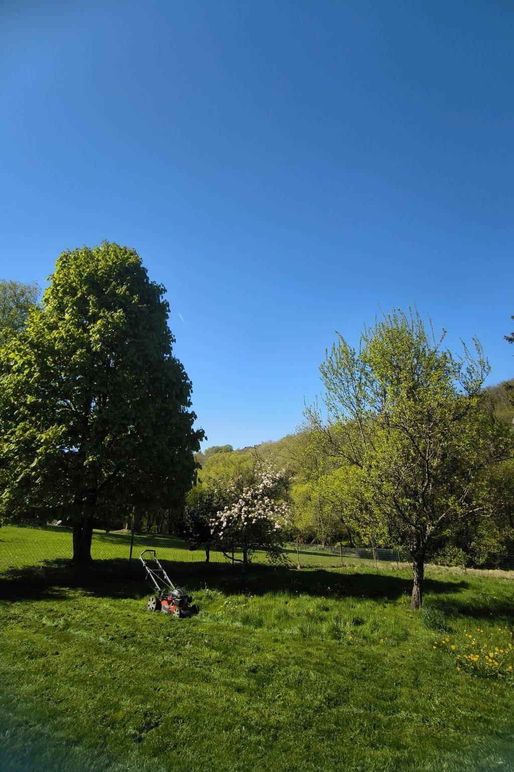 Ganze Wohnung, Ferienwohnung Sander in Kirchen (Sieg), Altenkirchen & Umgebung