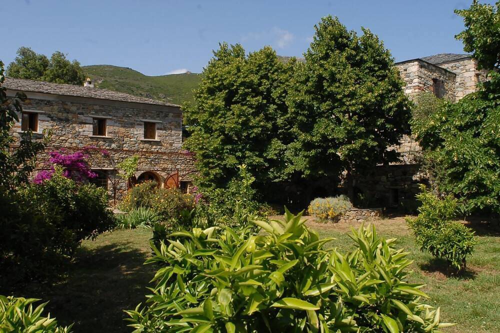Levente - Patrimonio in Patrimonio, Région de Calvi