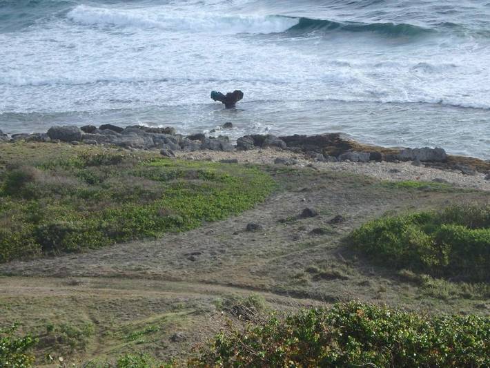 Chambre d’hôte pour 2 personnes, avec jardin et piscine en Guadeloupe - 3