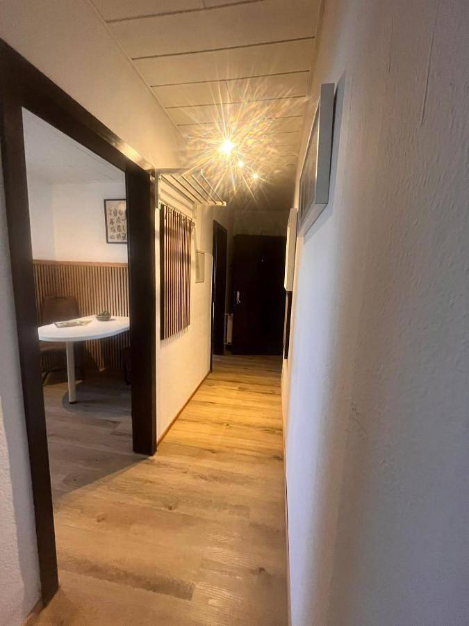 Gîte pour 3 personnes, avec terrasse et vue, animaux acceptés à Worms (Allemagne) - 4