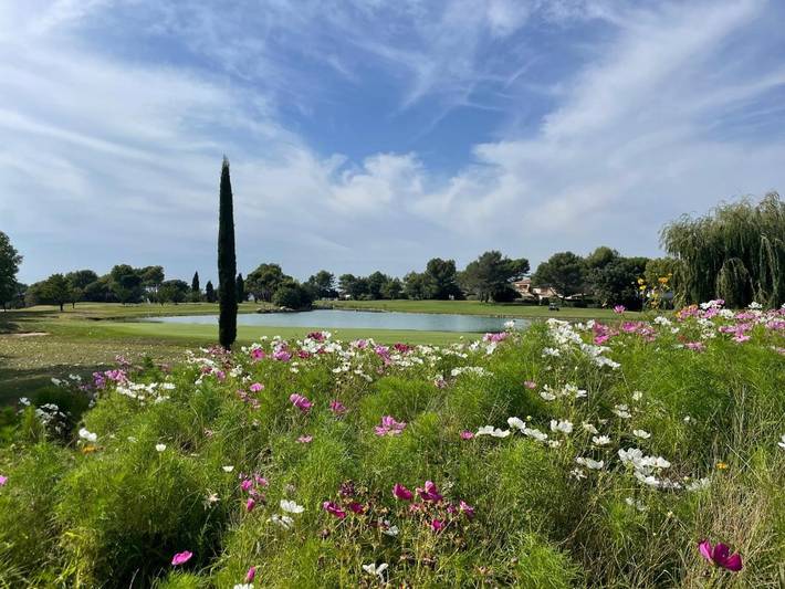 Location de vacances pour 2 personnes, avec piscine ainsi que vue et terrasse, animaux acceptés à Mallemort - 3