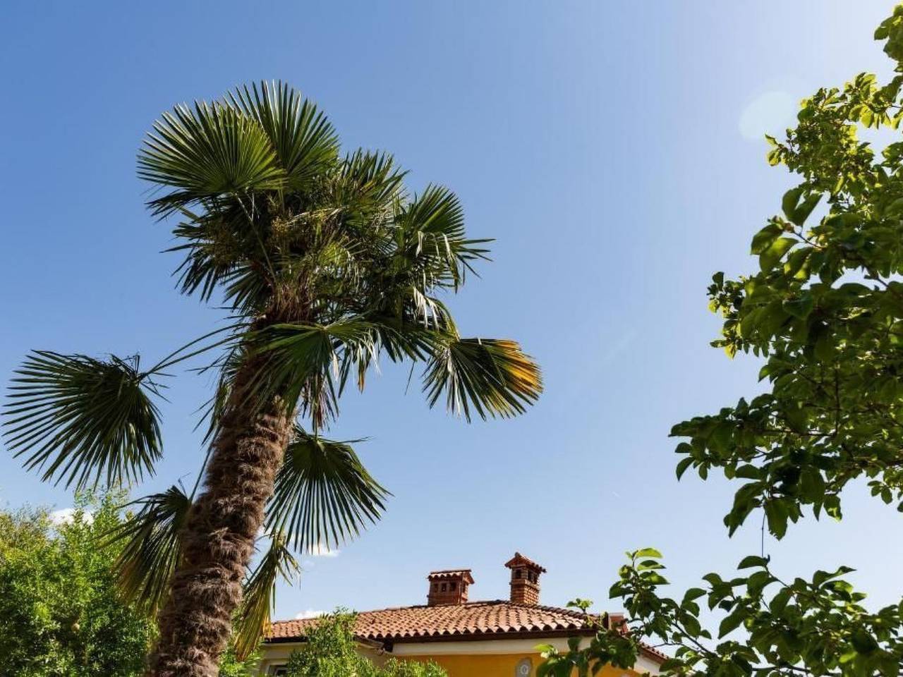 Ganze Wohnung, Wohnung in Lucija mit Garten in Piran, Slowenische Riviera