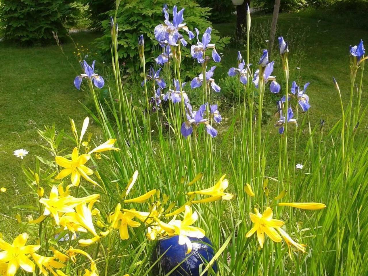 Gemütliches Haus in Arvika mit Garten und Grill in Värmland