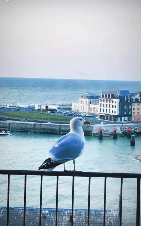 Villa pour 10 personnes, avec terrasse et vue, animaux acceptés