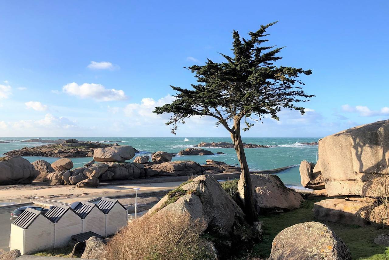 House 3* Superb Sea View And Rocks with garden Tregastel in Coz Pors, Trégastel