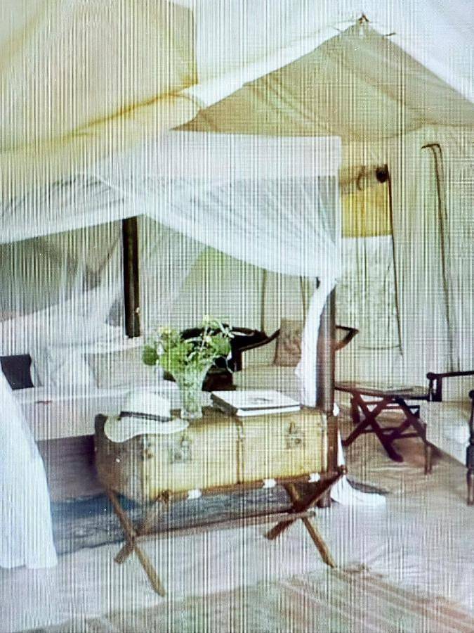 Glamping eco lodges in Moncarapacho, Parque Natural da Ria Formosa
