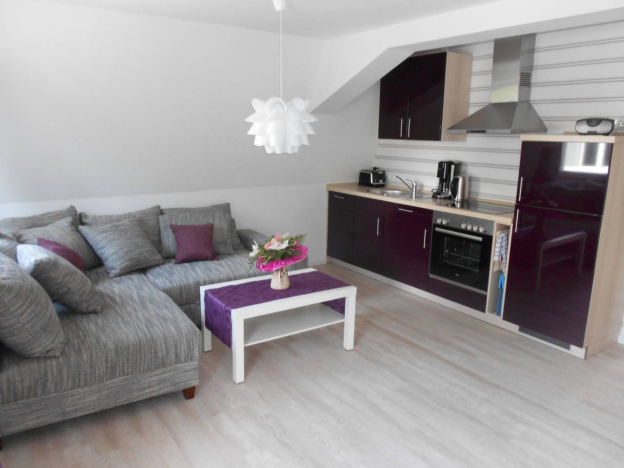 Ganze Ferienwohnung, Silbermöwe in Kölpinsee, Loddin