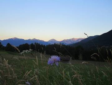 Ferienwohnung für 4 Personen in Bad Kohlgrub, Bayerische Alpen, Bild 3