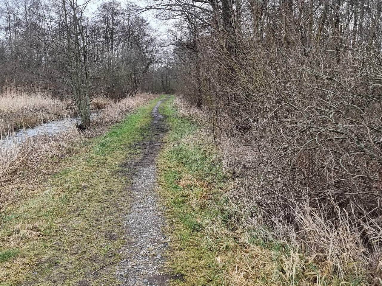 8 Personen Ferienhaus in Ebeltoft-By Traum in Fuglslev, Ebeltoft