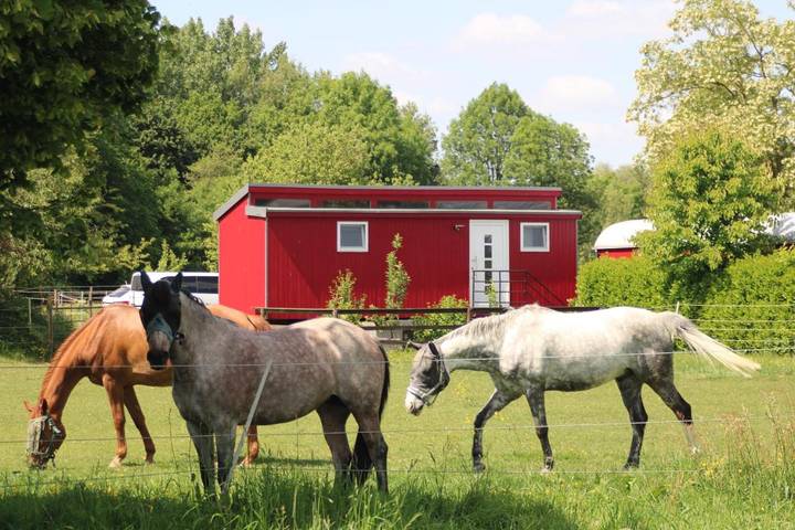 Vakantiehuis voor 2 personen, met uitzicht en tuin, met huisdier in Xanten