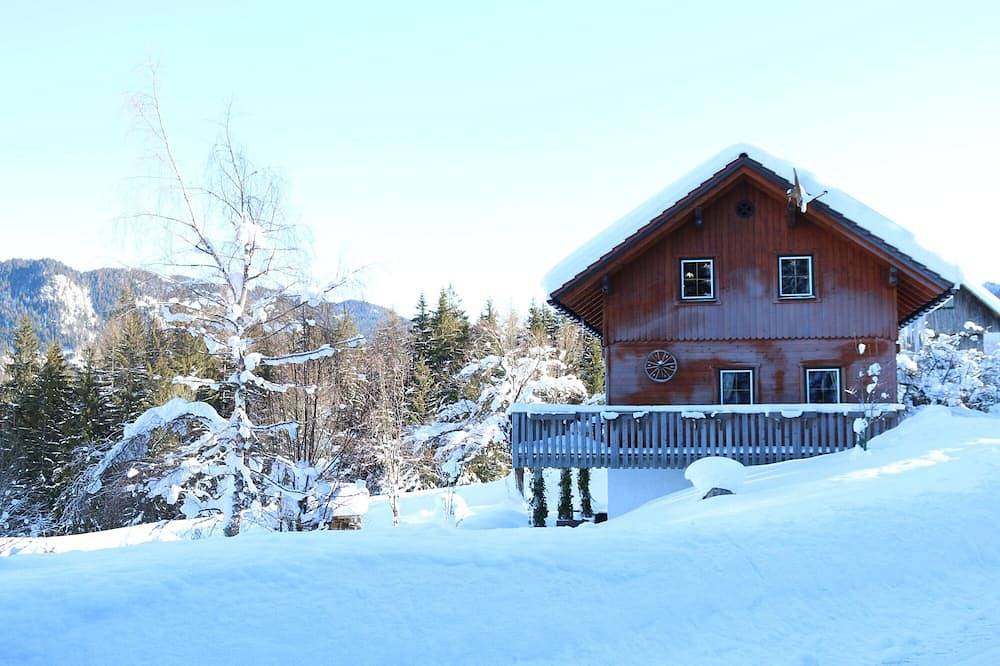 Forstauer‘s Ferienhaus am Mühlbach in Landl, Liezen und Umgebung