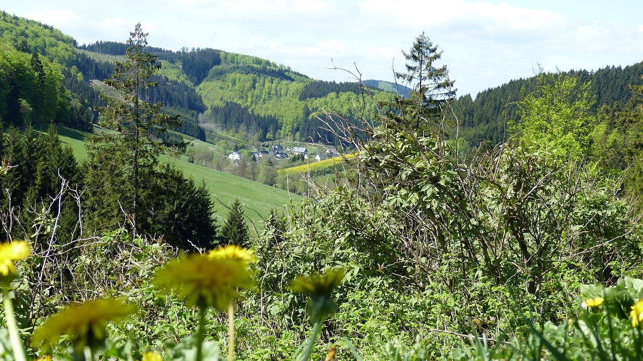 Geheel vakantieappartement, Ferienwohnung für 2 Personen (40 m²) in Schmallenberg in Schmallenberg, Hochsauerlandkreis