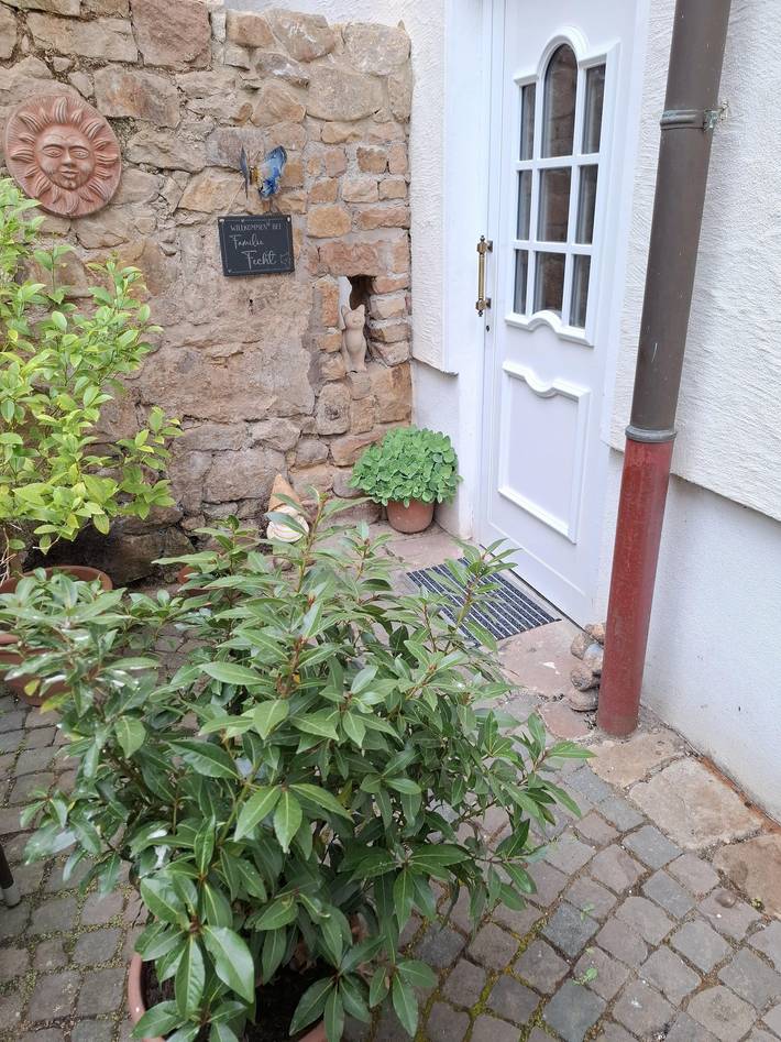 Ferienwohnung für 3 Personen, mit Terrasse und Garten in Hambach (Neustadt) - 2