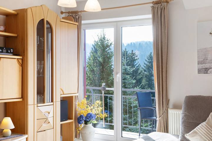 Ganze Wohnung, Ferienwohnung Tannenblick 7-4" mit Bergblick, Gemeinschaftsgarten und Wi-Fi in Oberhof, Rennsteig