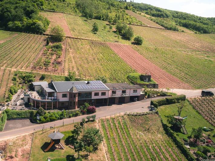 Entire apartment, Urlaubsweingut Zecherhof - Appartement Dornfelder in Neef, Cochem-Zell
