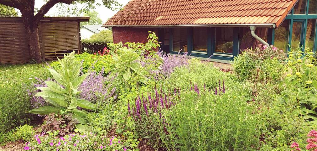 Ferienhaus für 7 Personen, mit Garten und Sauna, mit Haustier im Teutoburger Wald - 2