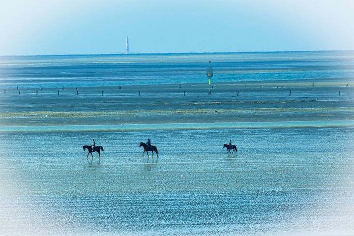Ferienwohnung für 3 Personen, mit Sauna und Balkon/Terrasse in Elbe-Weser - 2