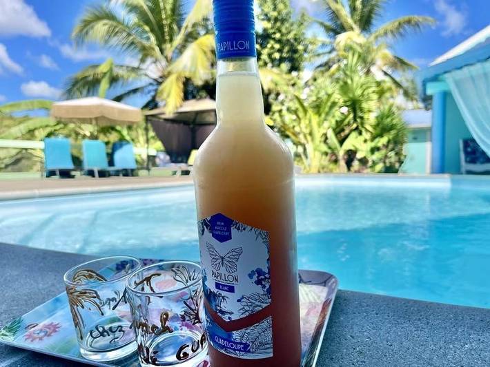 Gîte pour 7 personnes, avec jardin ainsi que terrasse et piscine dans Pointe-à-Pitre - 2