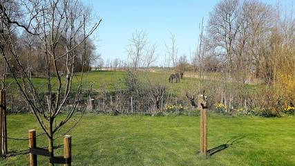 Glamping voor 5 Personen in Witzwort, Noord-Friese Schiereiland, Afbeelding 3