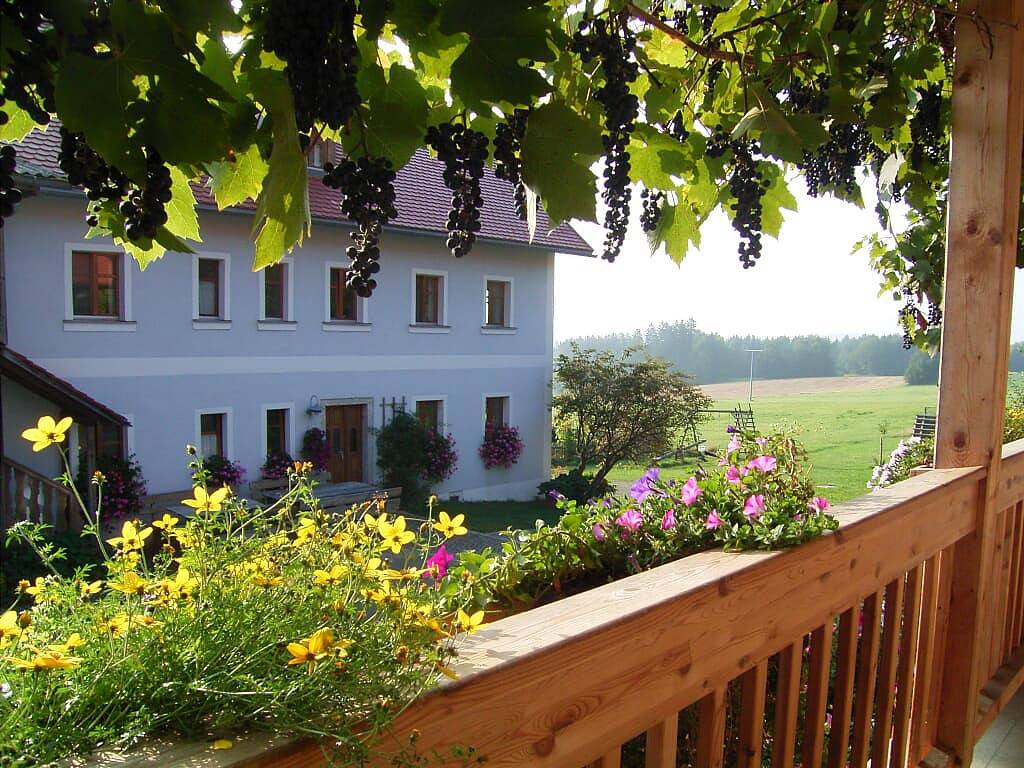 Hanauerhof - Fewo Obstgarten (50qm) für 4 Personen mit Balkon und zwei Schlafräumen in Schönsee, Naturpark Oberpfälzer Wald
