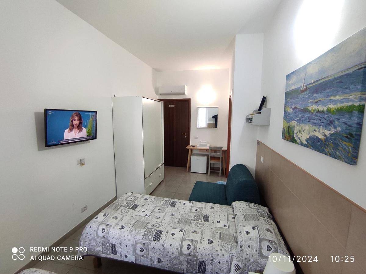 Coccinella in Sabaudia, Agro Pontino