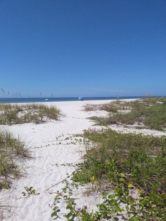 Cottage for 3 people, with terrace and yard in Florida