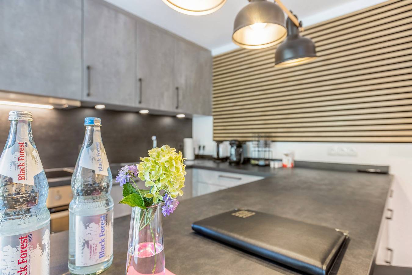 Ganze Wohnung, Moderne, ruhige Studio-Oase - mit Terrasse, Blick ins Grüne und Konus-Karte in Donaueschingen, Mittlerer Schwarzwald