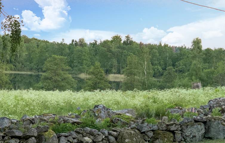 Ferienhaus für 6 Personen, mit Terrasse und Garten sowie Seeblick in Hallabro - 4