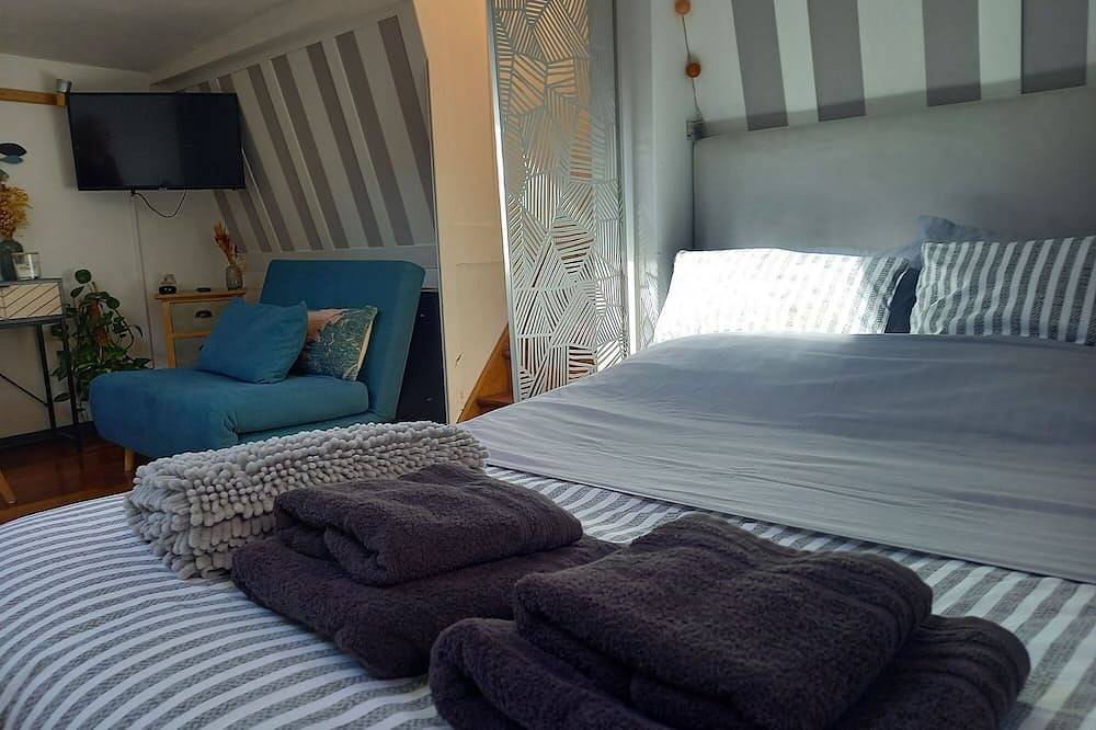 Independent apartment on barge with terrace near the city center in Metz, Metz-Campagne