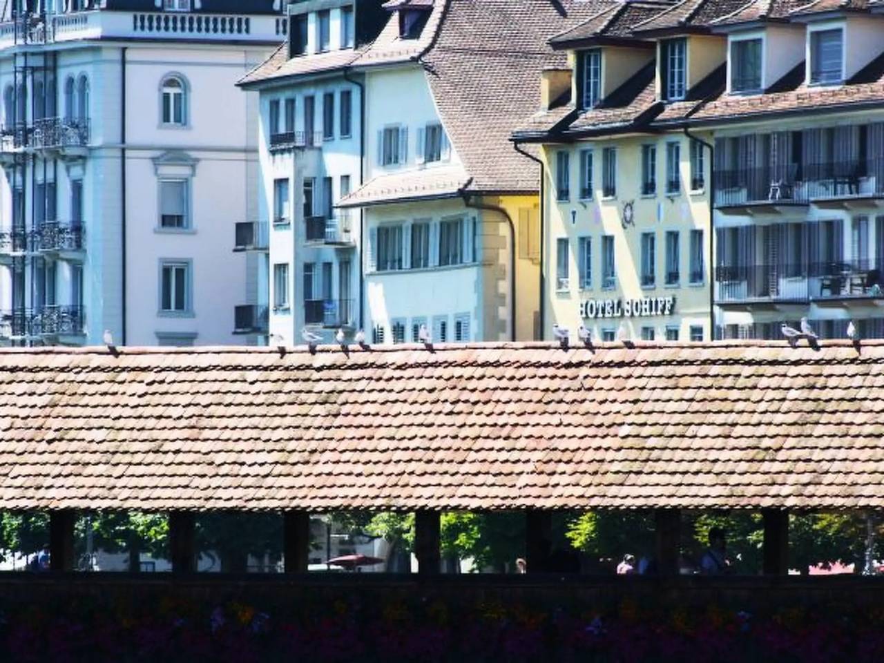 Entire apartment, 1 Pièce 2 Personnes in Luzern Zustellkreis, Lucerne