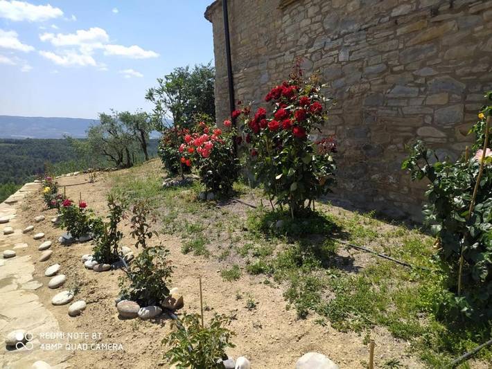 Casa rural para 12 personas, con jardín en La Ribagorza - 3