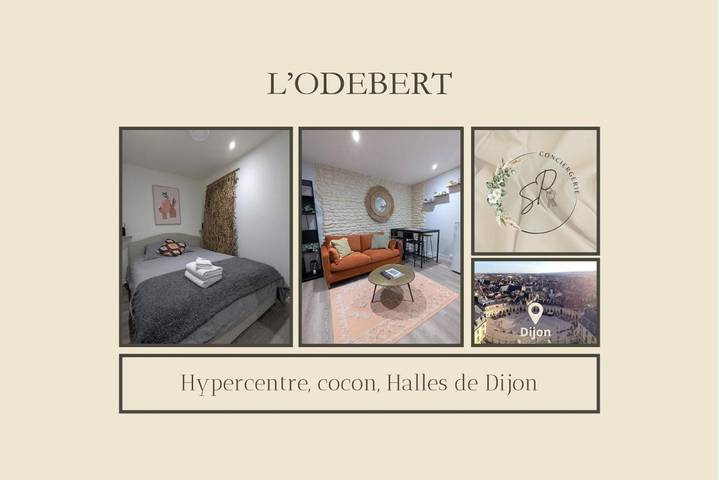 Vakantiewoning voor 4 personen, met huisdier in Dijon