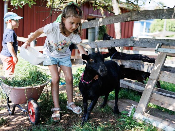 Ferienhaus für 4 Personen, mit Garten und Sauna in Haundorf - 3