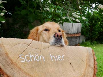 Ferienwohnung für 6 Personen in Manderscheid, Bernkastel-Kues & Umgebung, Bild 2