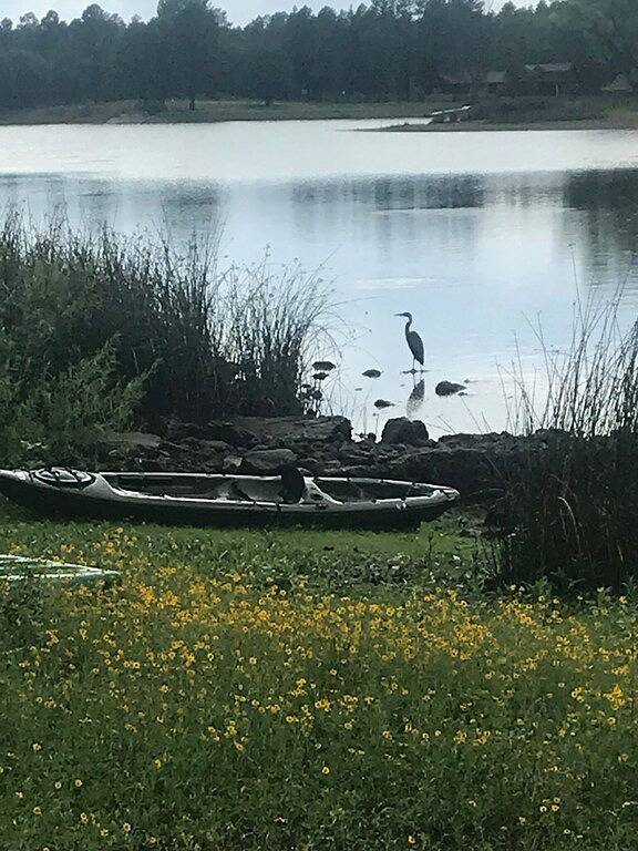 Neu! 4 Morgen Lakefront Cabin in den Tall Pines in Navajo County