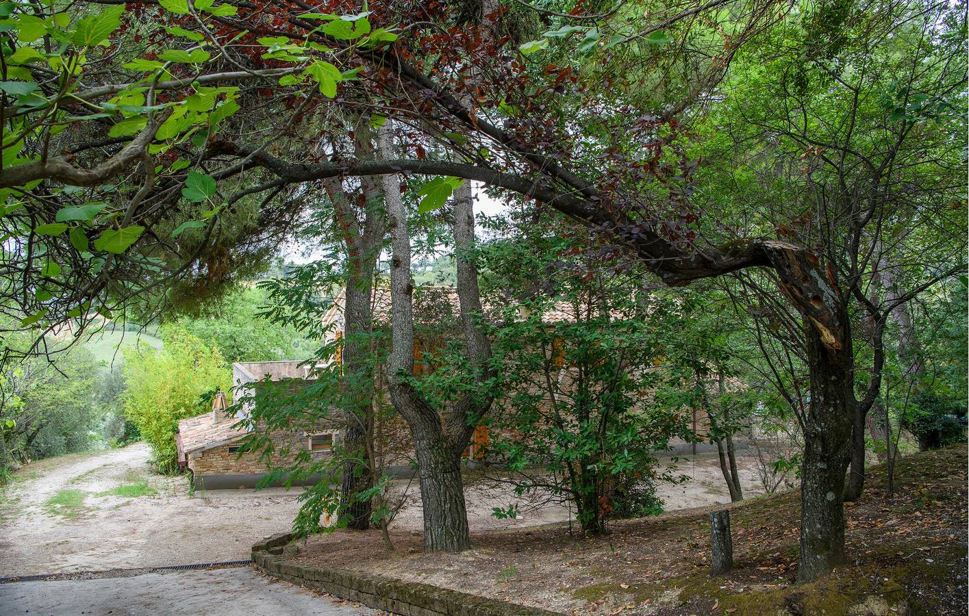 Ferienhaus für 8 Personen mit Garten in Serrungarina, Colli al Metauro