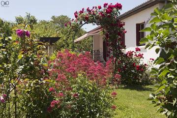 Gîte pour 5 personnes, avec jardin à Saint-Sulpice-la-Pointe