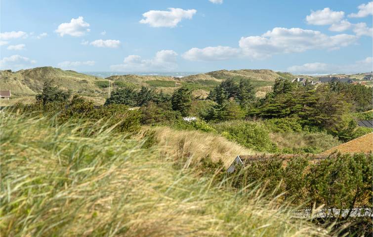 Ferienhaus mit Meerblick für 6 Personen, mit Terrasse und Garten, mit Haustier in Jammerbugt - 4