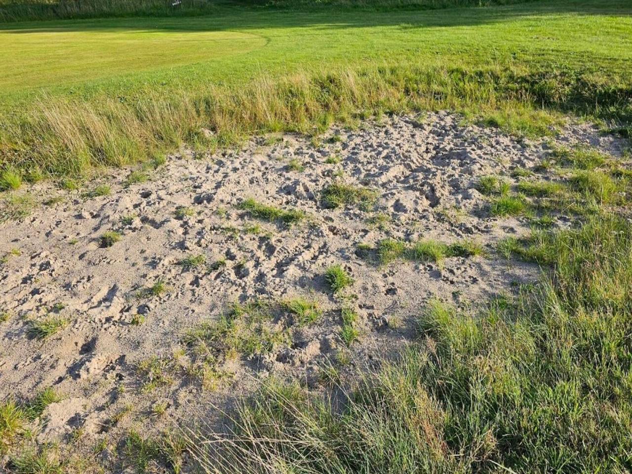 8 Personen Ferienhaus in Toftlund-By Traum in Arrild, Tondern und Umgebung