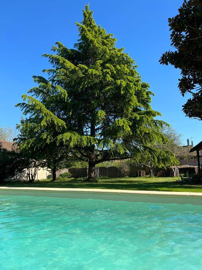 Deluxe Queen Suite in Montcaret, Périgord Pourpre